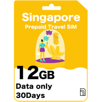 Singapore Prepaid Travel SIM Card
