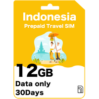 Indonesia Prepaid Travel SIM Card
