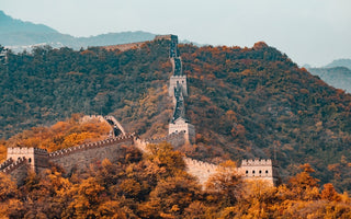 China & Hong Kong