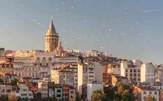 Turkey & Europe